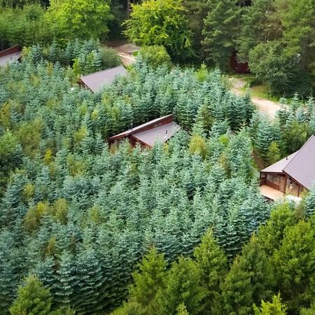 Delamere Forest Cabins - Forest Holidays Mouldsworth Dış mekan fotoğraf