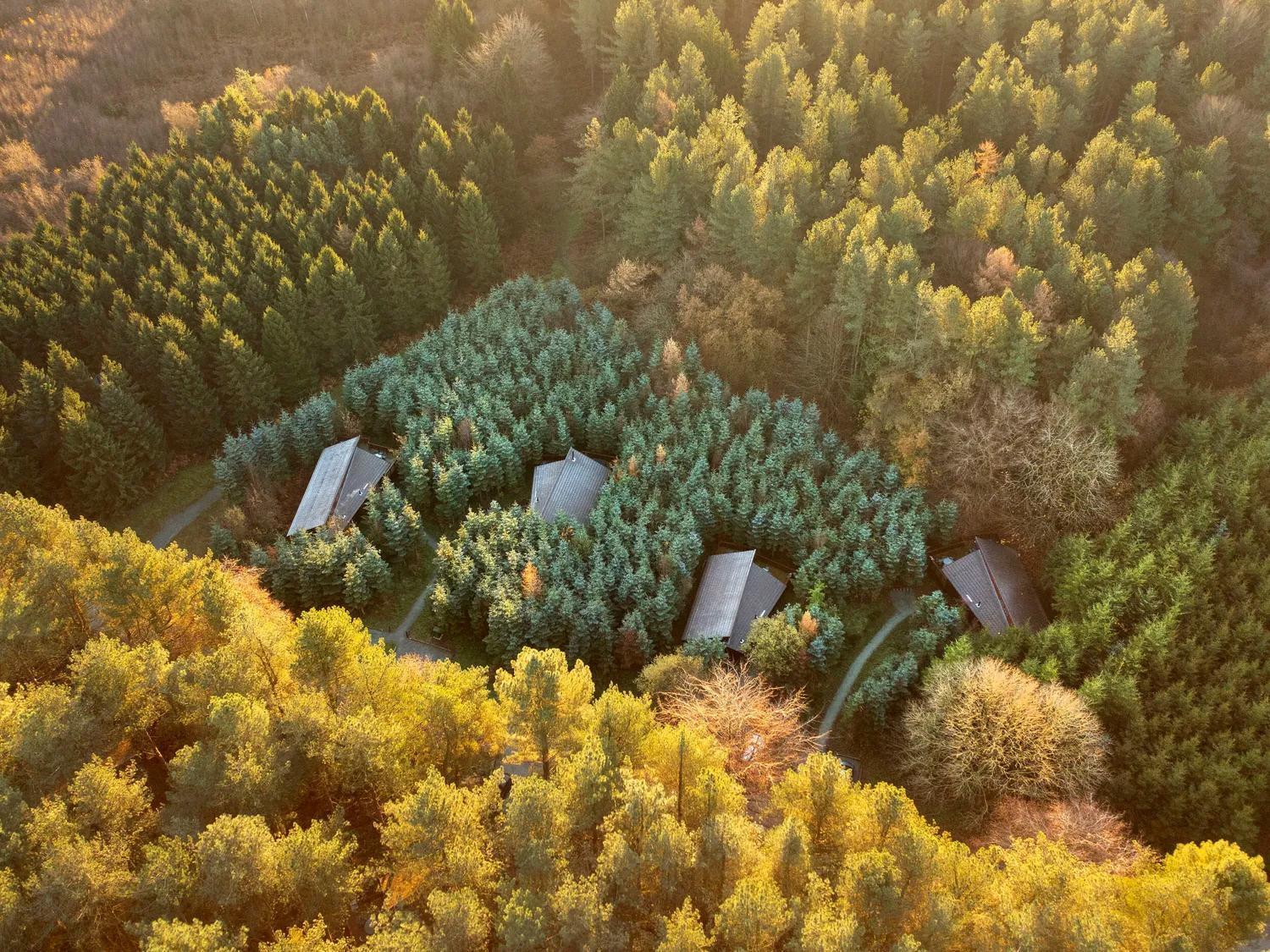 Delamere Forest Cabins - Forest Holidays Mouldsworth Dış mekan fotoğraf